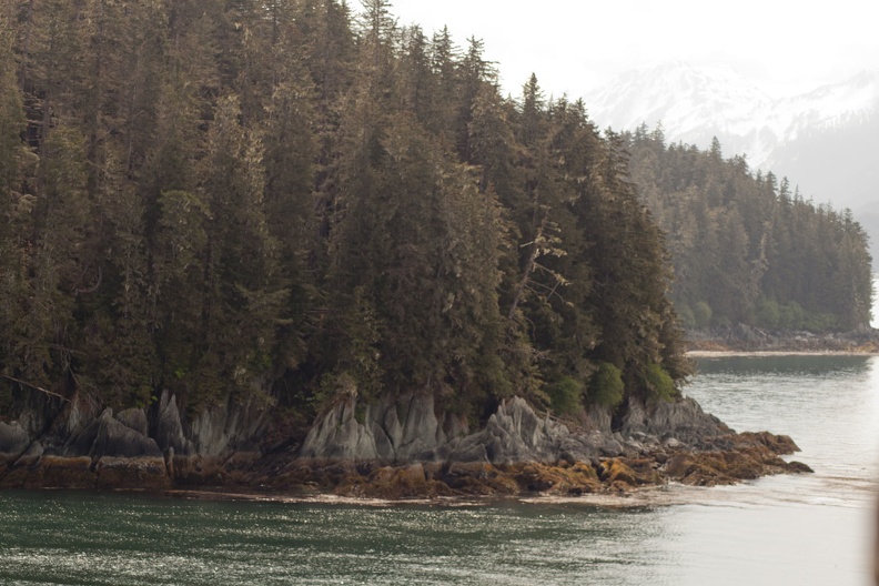 315-8993 Tracy Arm Fjord.jpg